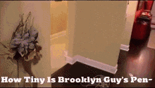Brooklyn T Guy How GIF - Brooklyn T Guy How How Tiny GIFs