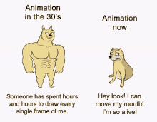 doge animation