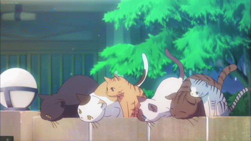70 Best Anime Cats of All Time The Ultimate Feline List