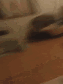 a blurry picture of people walking on a wooden floor .
