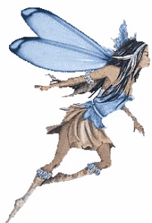 fly fairy