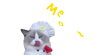 Meow Puff Sticker - Meow Puff Meow Chef Stickers