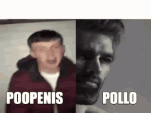 Poopenis Pollo GIF - Poopenis Pollo GIFs
