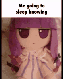 Me Going To Sleep Knowing Touhou GIF - Me Going To Sleep Knowing Touhou Touhou Fumo GIFs