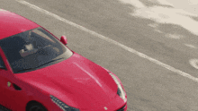 Forza Horizon 4 Ferrari Ff GIF - Forza Horizon 4 Ferrari Ff Driving GIFs