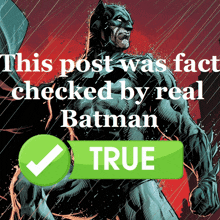 Batman Real GIF - Batman Real True GIFs