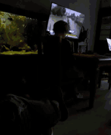a person playing a video game in a dark room with a fish tank in the background
