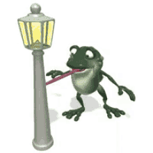 Frog Stuck GIF