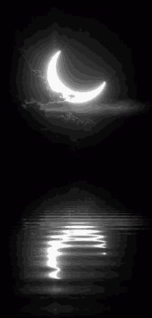 moon night
