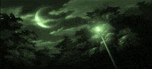 a street light is lit up in a dark forest with a crescent moon in the sky