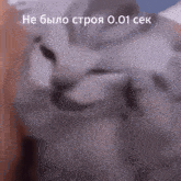 a blurred image of a dog with the words " не было строя 0.001 сек " written on it