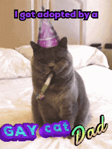 a cat wearing a party hat is sitting on a bed next to a sign that says gay cat dad