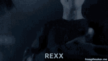 Rexx Sign Language GIF - Rexx Sign Language Hand GIFs