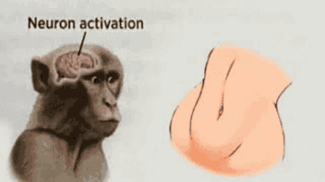 neuron-activation.png