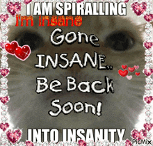a picture of a cat that says i am spiralling i 'm insane gone insane be back soon !