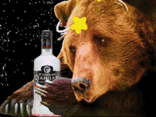 Sad Bear GIF - Sad Bear Vodka GIFs