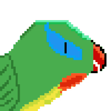 Canavarşapşik Parrot GIF - Canavarşapşik şapşik Parrot GIFs