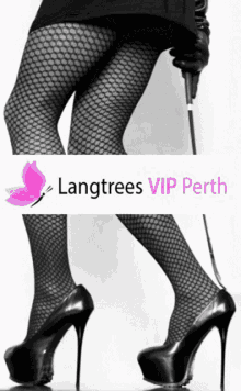 Langtrees Vip Perth Open24x7 GIF - Langtrees Vip Perth Open24x7 Your Search For Perfect Companion Ends Here GIFs
