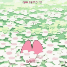 Camp Group Chat GIF - Camp Group Chat My Melody GIFs