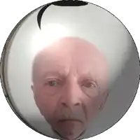 a man with a mustache is reflected in a silver sphere