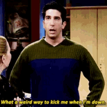Ross Friends GIF - Ross Friends Kick Me While Im Down GIFs