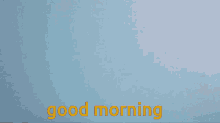 Good Morning Girl GIF - Good Morning Girl Greetings GIFs
