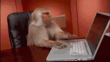 a monkey typing at a laptop and then holding it's head in frustration
