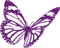 Animated Butterfly Flying GIFs | Tenor
