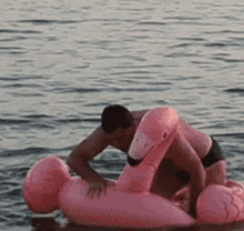 pafka flamingo man swimmin sea