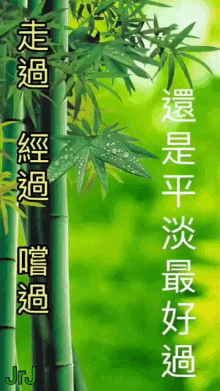 butterflies simple life bamboo chinese happy