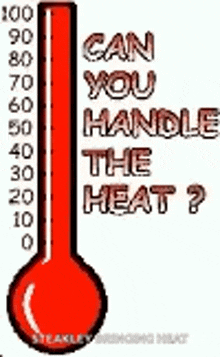 Can You Handle The Heat GIF