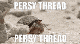 Persy Thread GIF