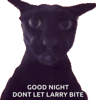 a black cat with the words " good night dont let larry bite " below it