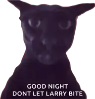 a black cat with the words " good night dont let larry bite " below it