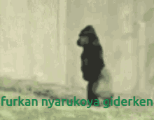 Furkan Nyarukoya Giderken Furkan GIF - Furkan Nyarukoya Giderken Furkan Furkan Ve Nyaruko GIFs