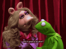 Muppet Show Muppets GIF - Muppet Show Muppets Miss Piggy GIFs