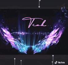 the name vinh is on a black background with purple and blue wings surrounding it