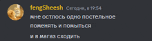 a screenshot of a chat with fengsheesh in the upper left corner