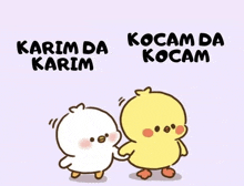 a couple of chicks standing next to each other with the words kocam da kocam written above them