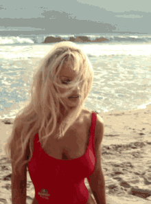Lily James Pamela Anderson GIF - Lily James Pamela Anderson Swimsuit GIFs