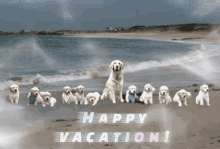 Vacation Time GIF - Vacation Time Gif GIFs