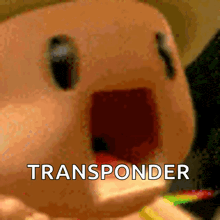 a close up of a stuffed animal with the word transponder in white letters