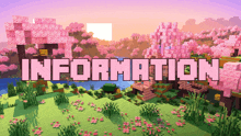 a picture of a minecraft world with the words information