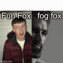 Fun Fox Giant Rp GIF - Fun Fox Giant Rp Roblox GIFs