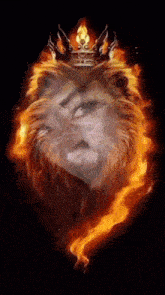 a lion wearing a crown is surrounded by flames