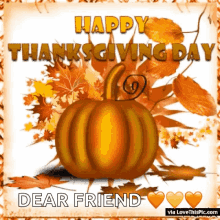 Happy Thanksgiving GIF - Happy Thanksgiving Pumpkin GIFs