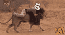 Rekt Wolf Crypto Nft GIF - Rekt Wolf Crypto Nft Lion Rider GIFs