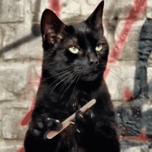 Black Cat Filing Nails GIF - Black Cat Filing Nails GIFs