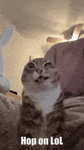 a cat with its tongue sticking out and the words hop on lol below it