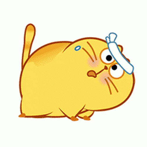 Толстый кот. Толстый кот gif. Толстый кот анимация. Пухлый жёлтый кот. Гифы вайбера